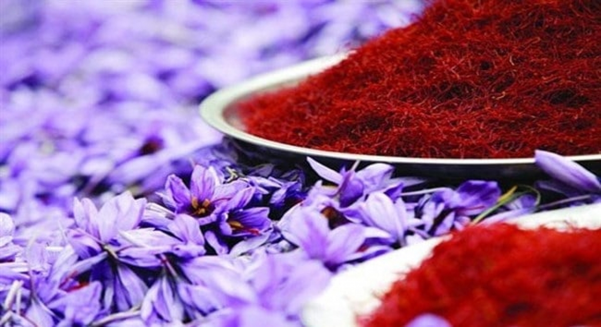 Afghanistan saffron